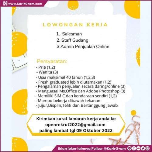 Lowongan Kerja Salesman Staff Gudang Admin Penjualan Online